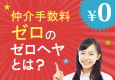 ゼロヘヤとは?