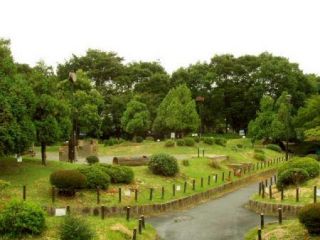 フェニックス高田馬場