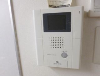 ヴェルドミール