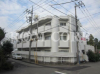 フラットM